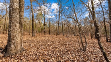 153.85 Acre Turn Key Hunting Property in Taylor County, Georgia - photo 48