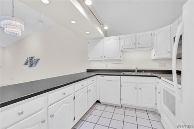 Ranch Patio Home with 1 car attached garage in Amherst! Features - photo 14