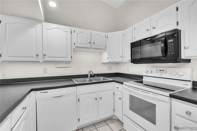 Ranch Patio Home with 1 car attached garage in Amherst! Features - photo 16