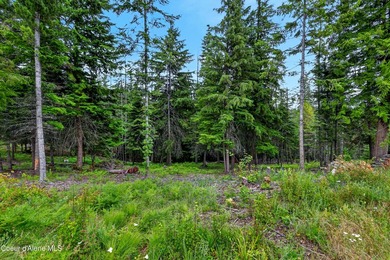 Rare opportunity for an incredible Newman Lake 20 acre property - photo 22