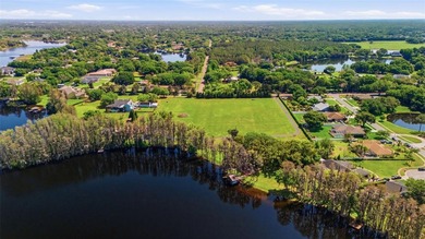 Positioned along the shores of Lake Kell in Lutz, this is a rare - photo 34