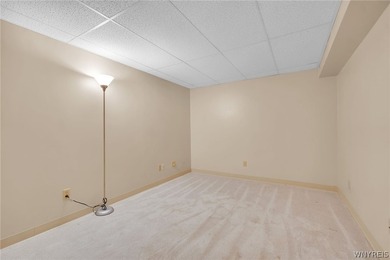 Ranch Patio Home with 1 car attached garage in Amherst! Features - photo 40