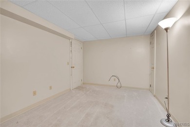 Ranch Patio Home with 1 car attached garage in Amherst! Features - photo 41