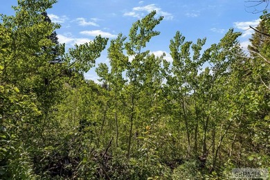 Discover the perfect opportunity to own 0.57 acres in beautiful - photo 11