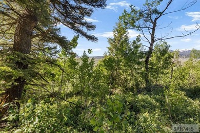 Discover the perfect opportunity to own 0.57 acres in beautiful - photo 12