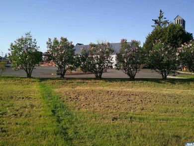 Nice level lot in downtown with Community Mixed Use zoning which - photo 2