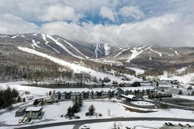 (private lake, pond, creek) Condo For Sale in Killington Vermont