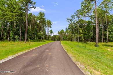 Welcome to Springwood, Flora's newest lakefront development - photo 16