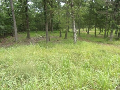 Lake Lot For Sale in Murchison, Texas