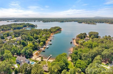 Welcome to 236 Tuskarora Trail, a show-stopping Mooresville - photo 4