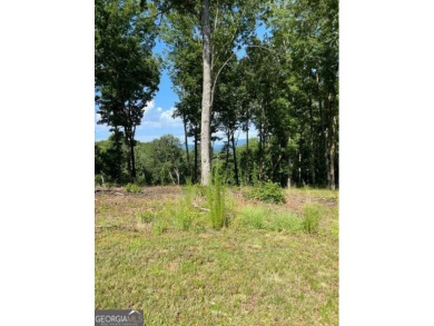 Lake Lot For Sale in Blairsville, Georgia