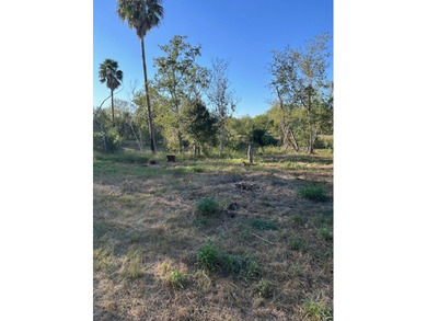 Great home in the Mathis Lake area. This 2-bedroom 2 bath home - photo 17