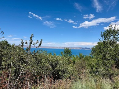 Own two lots in beautiful Bear Lake! Trees, year round - photo 1