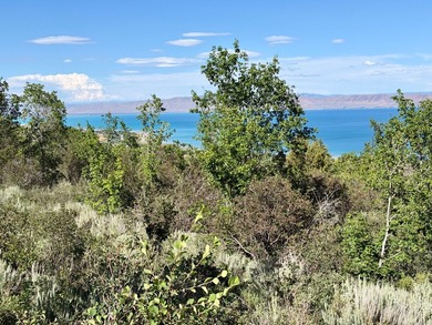 Own two lots in beautiful Bear Lake! Trees, year round - photo 3