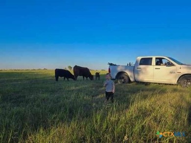 Stunning custom home on 19.77 acres offers wide open spaces