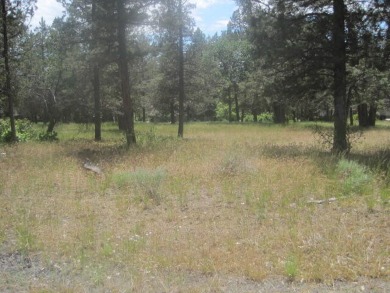 Upper Klamath Lake Lot For Sale in Klamath Falls Oregon