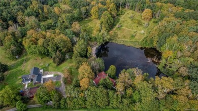 (private lake, pond, creek) Home For Sale in Chester New York
