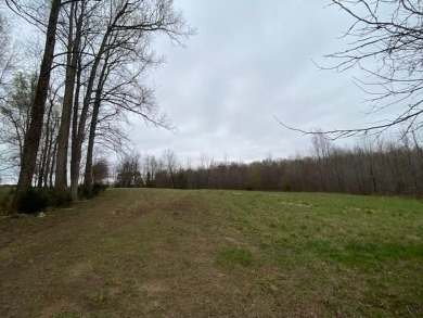 Kerr Lake - Buggs Island Lake Lot Sale Pending in Buffalo Junction Virginia