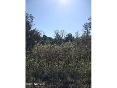 Bay River Acreage Sale Pending in Bayboro North Carolina