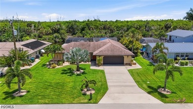 DIRECT GULF ACCESS WITH PRESERVE VIEWS, SOUTHERN EXPOSURE, TWO - photo 11