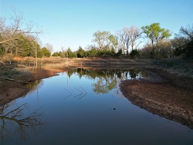 Top-tier development/investment potential! This vast wooded - photo 11