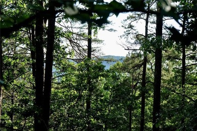 Lake Allatoona Lot For Sale in Cartersville Georgia