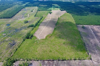 (private lake, pond, creek) Acreage For Sale in New Zion South Carolina