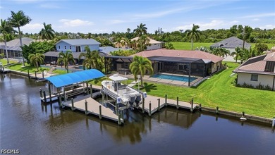 DIRECT GULF ACCESS WITH PRESERVE VIEWS, SOUTHERN EXPOSURE, TWO - photo 45