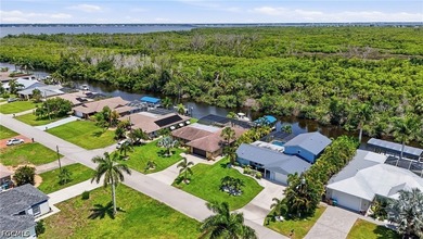 DIRECT GULF ACCESS WITH PRESERVE VIEWS, SOUTHERN EXPOSURE, TWO - photo 48