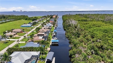 DIRECT GULF ACCESS WITH PRESERVE VIEWS, SOUTHERN EXPOSURE, TWO - photo 49