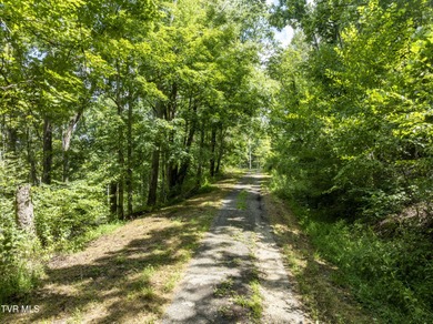 Watauga Lake Acreage For Sale in Butler Tennessee