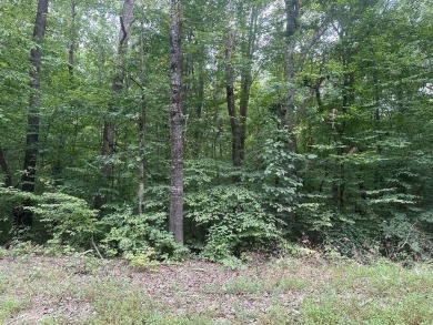  Lot For Sale in Clarksville Virginia