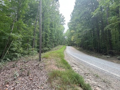 Roanoke Ridge! Located at the front side of Oak Hill, you can - photo 2