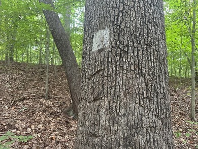 Roanoke Ridge! Located at the front side of Oak Hill, you can - photo 3