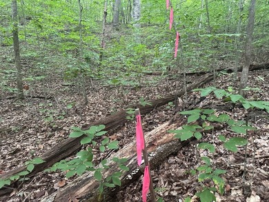 Roanoke Ridge! Located at the front side of Oak Hill, you can - photo 5