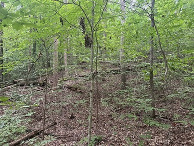 Roanoke Ridge! Located at the front side of Oak Hill, you can - photo 6
