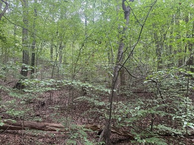 Roanoke Ridge! Located at the front side of Oak Hill, you can - photo 7