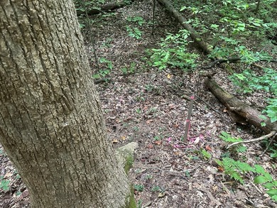 Roanoke Ridge! Located at the front side of Oak Hill, you can - photo 8