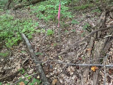 Roanoke Ridge! Located at the front side of Oak Hill, you can - photo 9