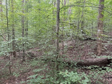 Roanoke Ridge! Located at the front side of Oak Hill, you can - photo 10