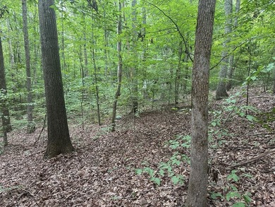Rolling Hills! Looking for a piece of nature with access to Kerr - photo 2