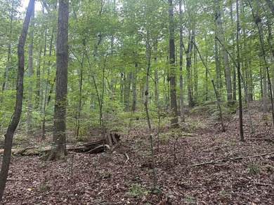 Rolling Hills! Looking for a piece of nature with access to Kerr - photo 7