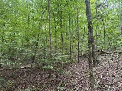 Rolling Hills! Looking for a piece of nature with access to Kerr - photo 10