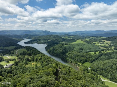 Watauga Lake Acreage For Sale in Butler Tennessee