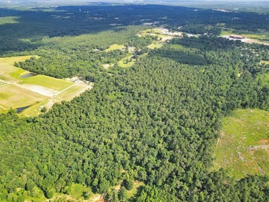 (private lake, pond, coastal) Acreage For Sale in Tyler Texas