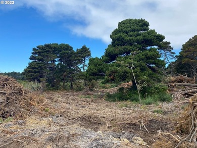 NICE BIG CHUNK OF LAND! ON Bandon's west side in Face Rock - photo 12