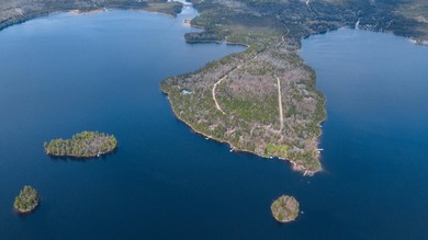 Situated on sought-after Pleasant Island Road, this 13-acre - photo 9