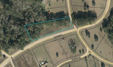 Lake Lot For Sale in Jennings, Florida