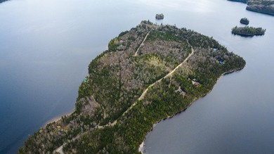 Situated on sought-after Pleasant Island Road, this 13-acre - photo 5