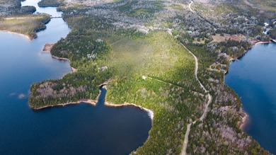 Situated on sought-after Pleasant Island Road, this 13-acre - photo 8